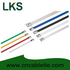 4.6*700mm 316/304/201 grade Ball-lock stainless steel cable ties
