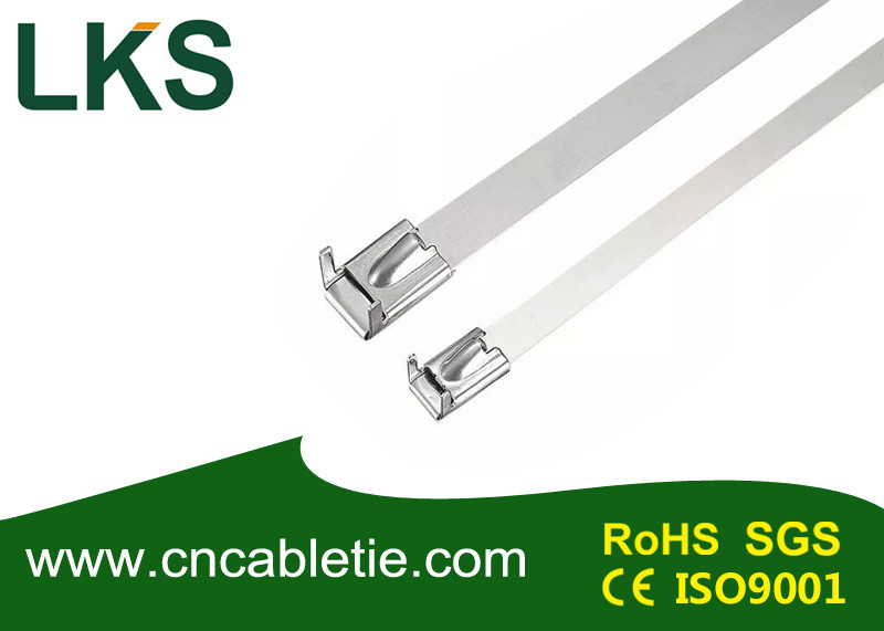 Wing ball-lock stainless steel cable tie
